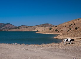 Lac derrière la Route de Benslimane